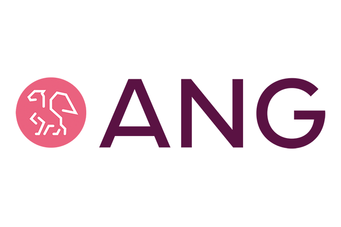 ANG Finanse